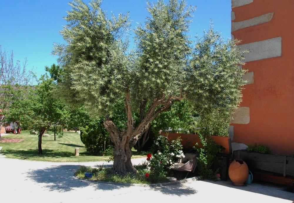 Posada Tresmentiras Aldeanueva del Camino Esterno foto